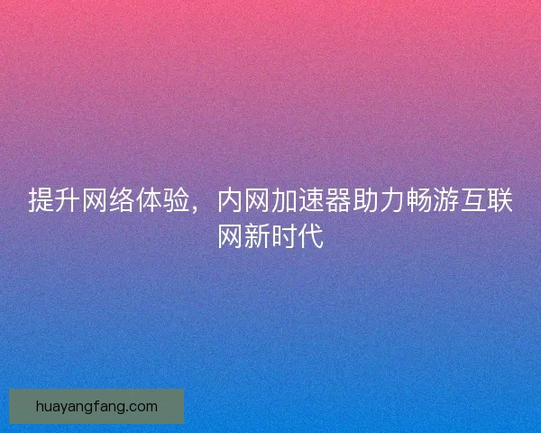提升网络体验，内网加速器助力畅游互联网新时代
